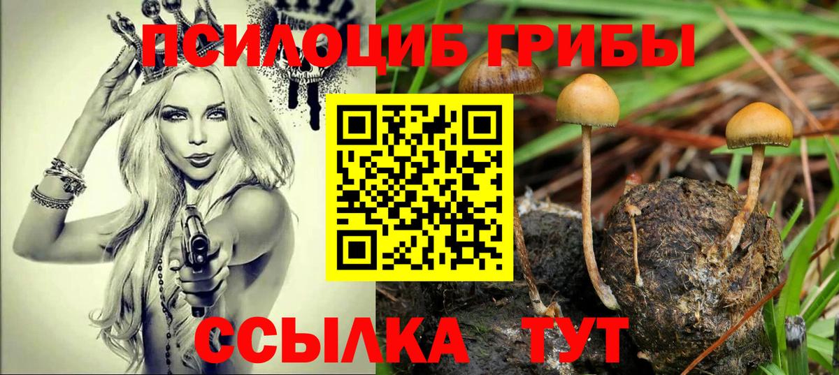 Псилоцибиновые грибы мицелий  Псилоцибиновые грибы ЛСД  Вход с VPN  Красноуфимск 