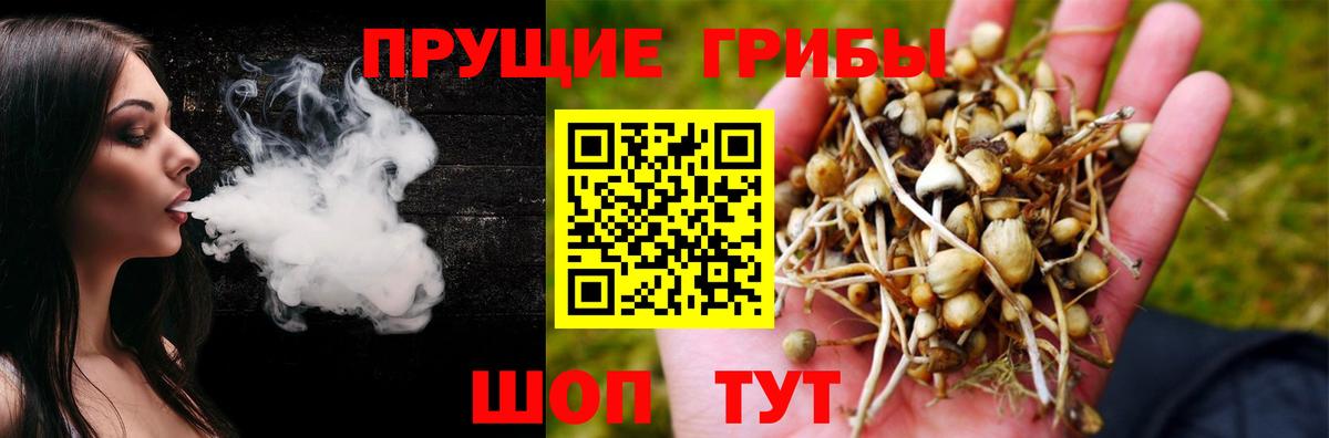 Галлюциногенные грибы Magic Shrooms Красноуфимск
